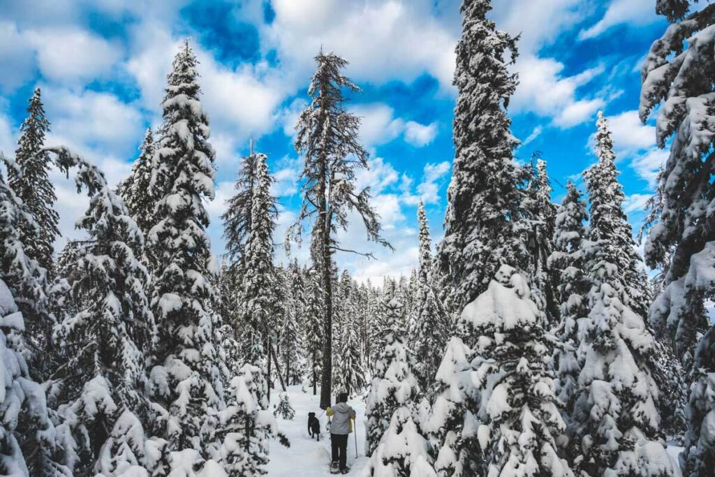 Snowshoeing to Quartz Mountain Fire Tower, Washington in winter