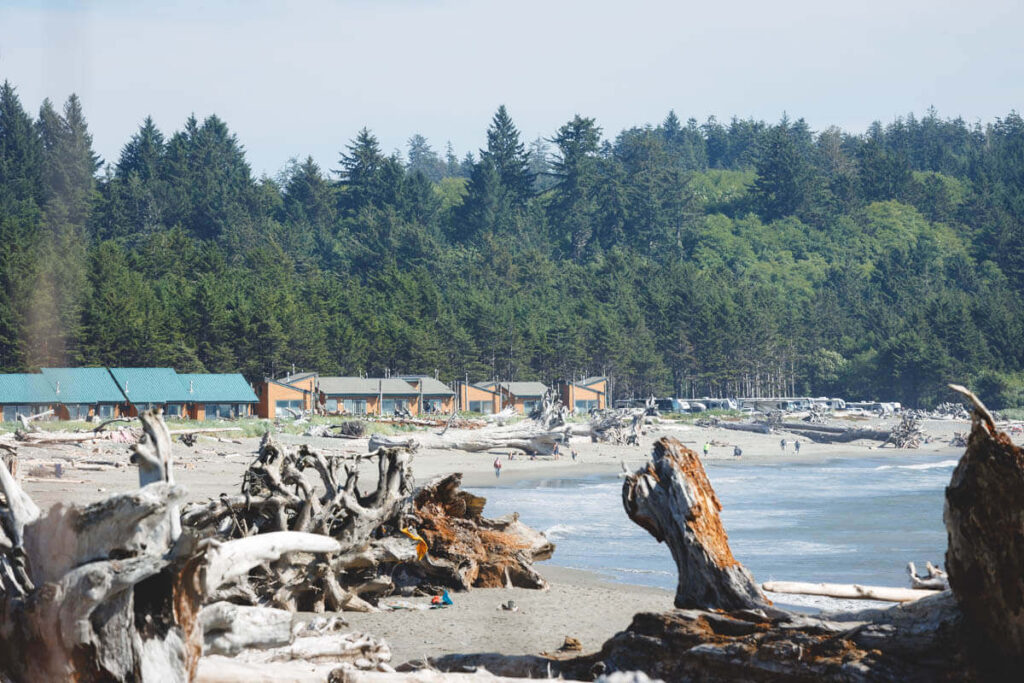 Cabins at La Push Beach 1