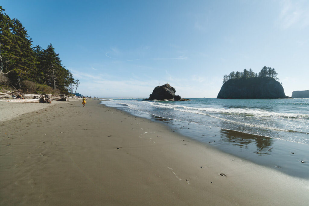 Shoreline at La Push Beach 2