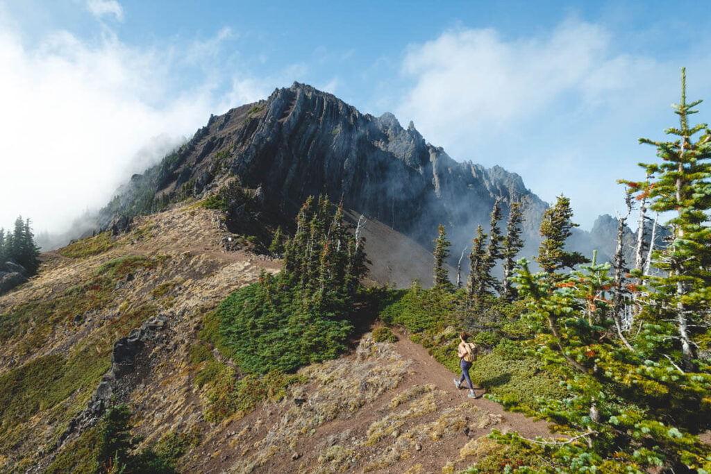 hiking in Olympic National Park - one of the best things to do in Washington