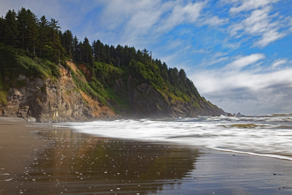 Shoreline at La Push Beach 3