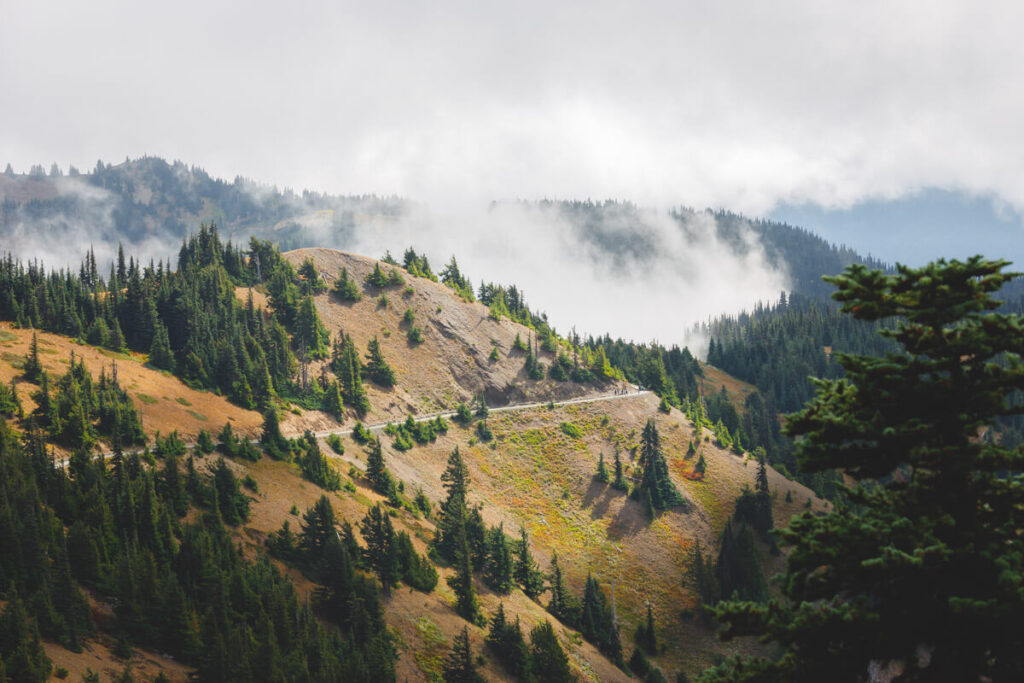 Misty view across the Hurricane Ridge Trail