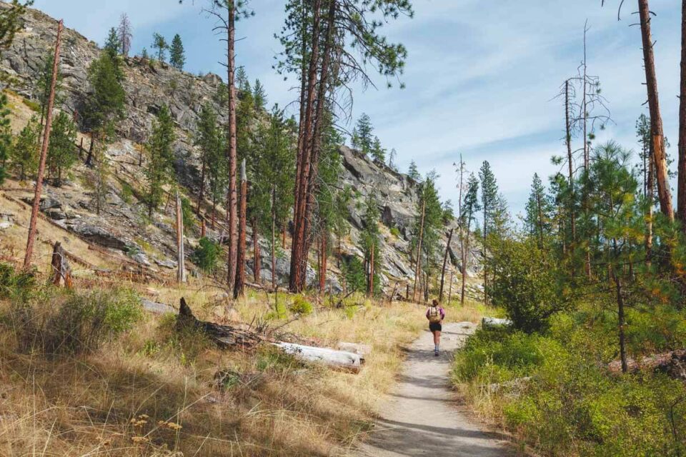 Riverside State Park in Spokane: What You Need to Know!