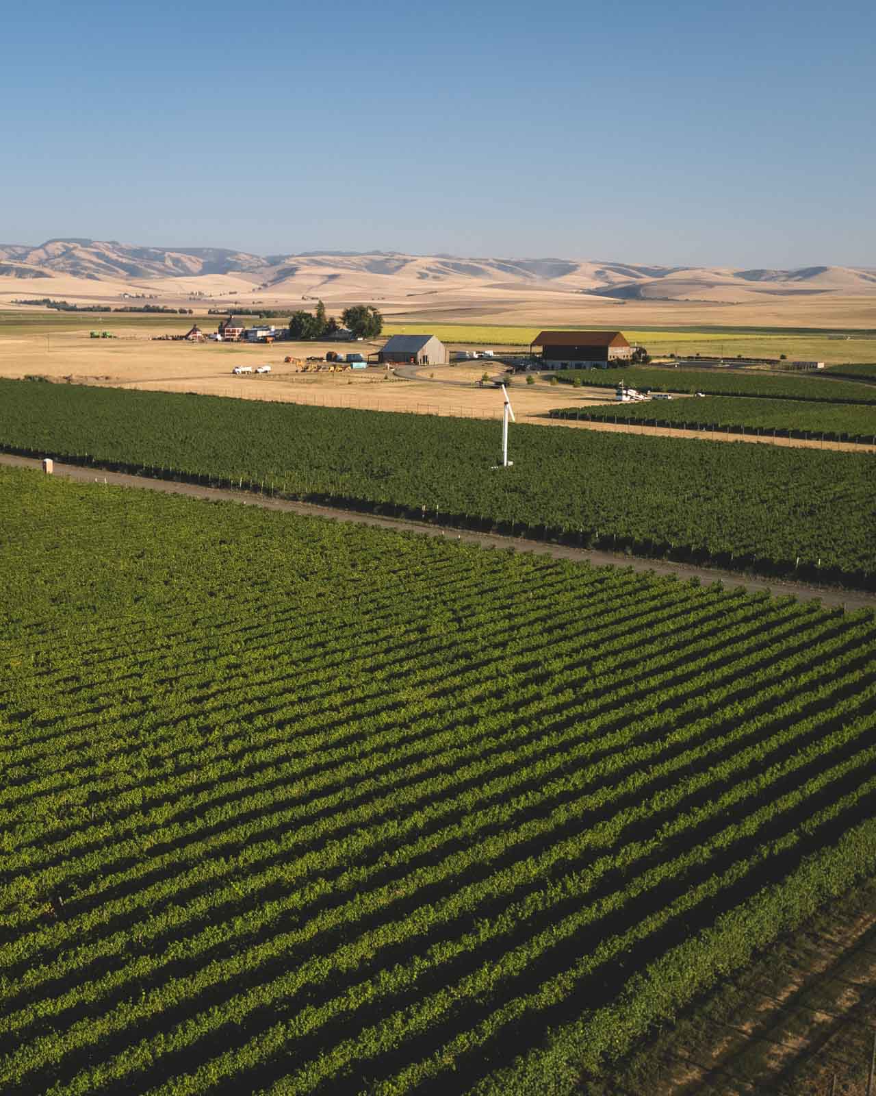 doubleback-winery-walla-walla-washington