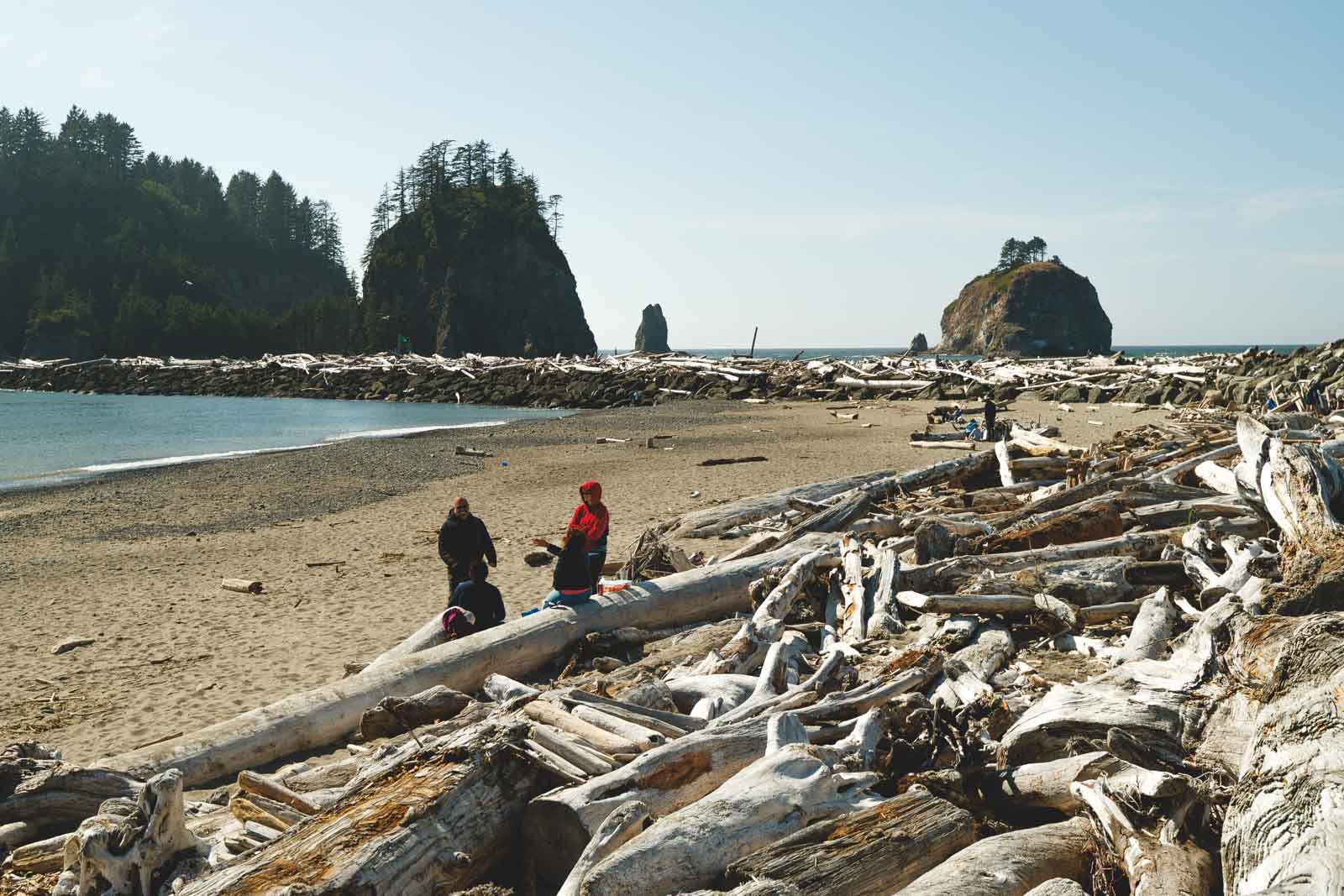 A group of people talking and enjoying the day down on La Push beach, sitting on piles of driftwood.