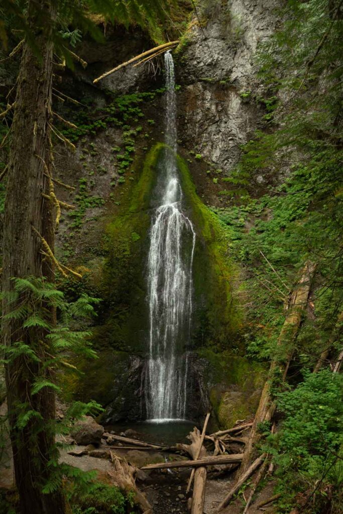 Marymere Falls in the surrounding woods.