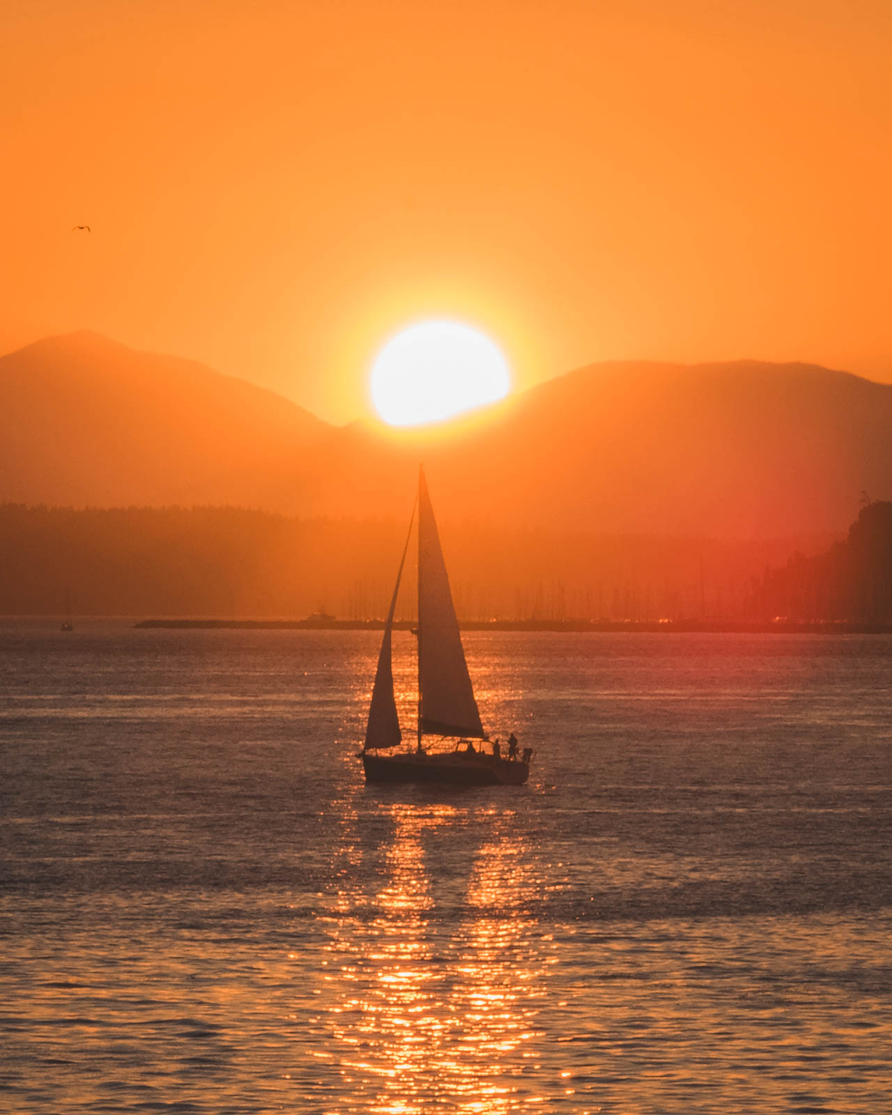 Sailboat on the water in Seattle, Washington