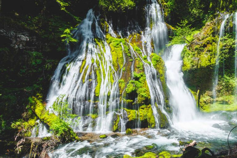 Sun shining over Panther Creek Falls.