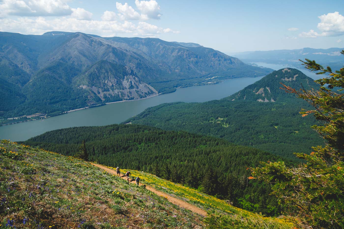 Three hikers along Dog Mountain Trail with a view across the Washington landscape.