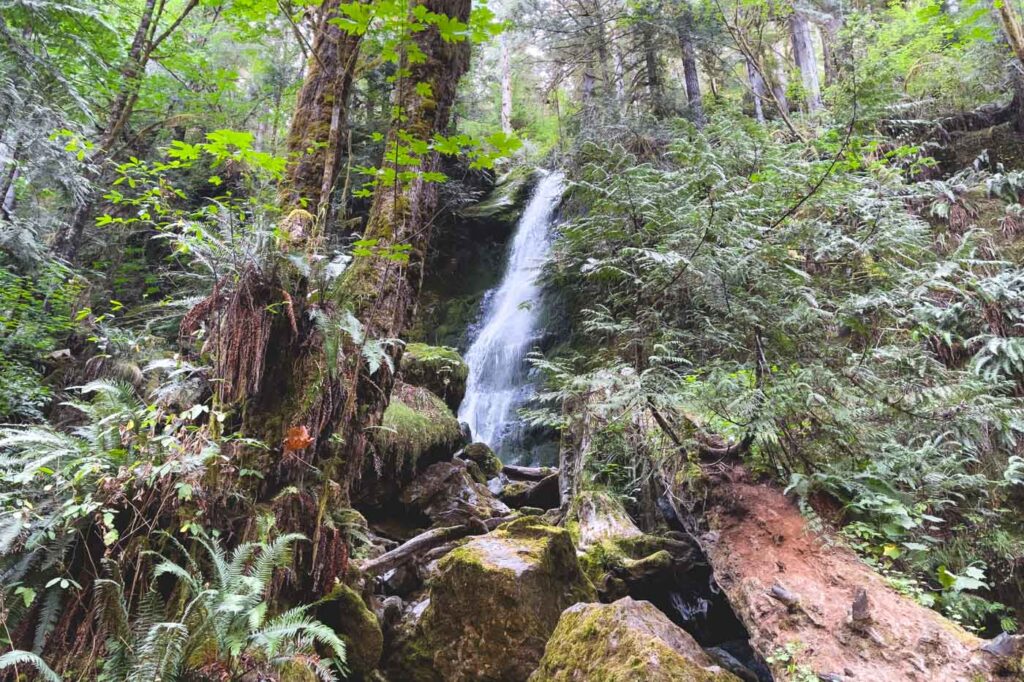 Olympic national park waterfalls
