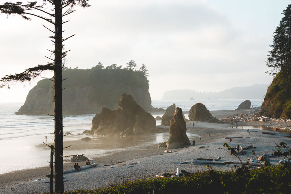 A view across Ruby Beach at golden hour while people going about their day admiring the sea stacks.