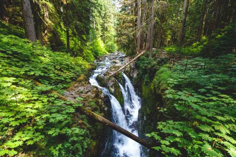 7 Waterfalls in Olympic National Park