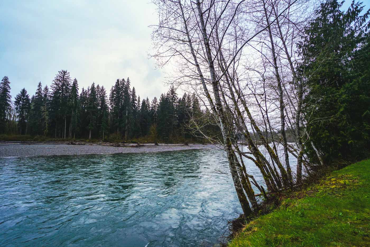 The Calawah River running through the countryside if Forks.