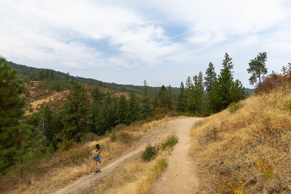 Woman hiker in Iller Creek Conservation Area.