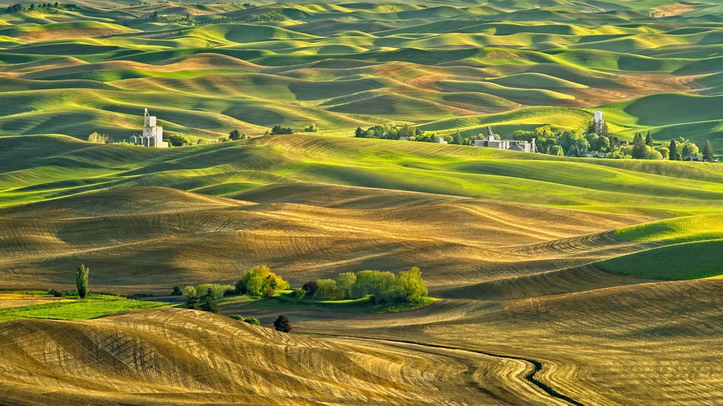 View from the summit of Steptoe Butte State Park in eastern Washington