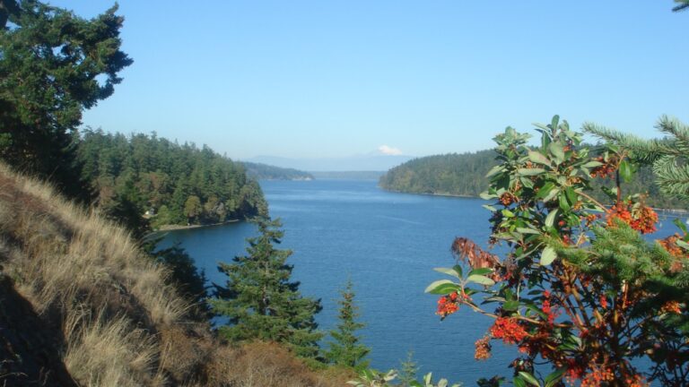 Whidbey Island
