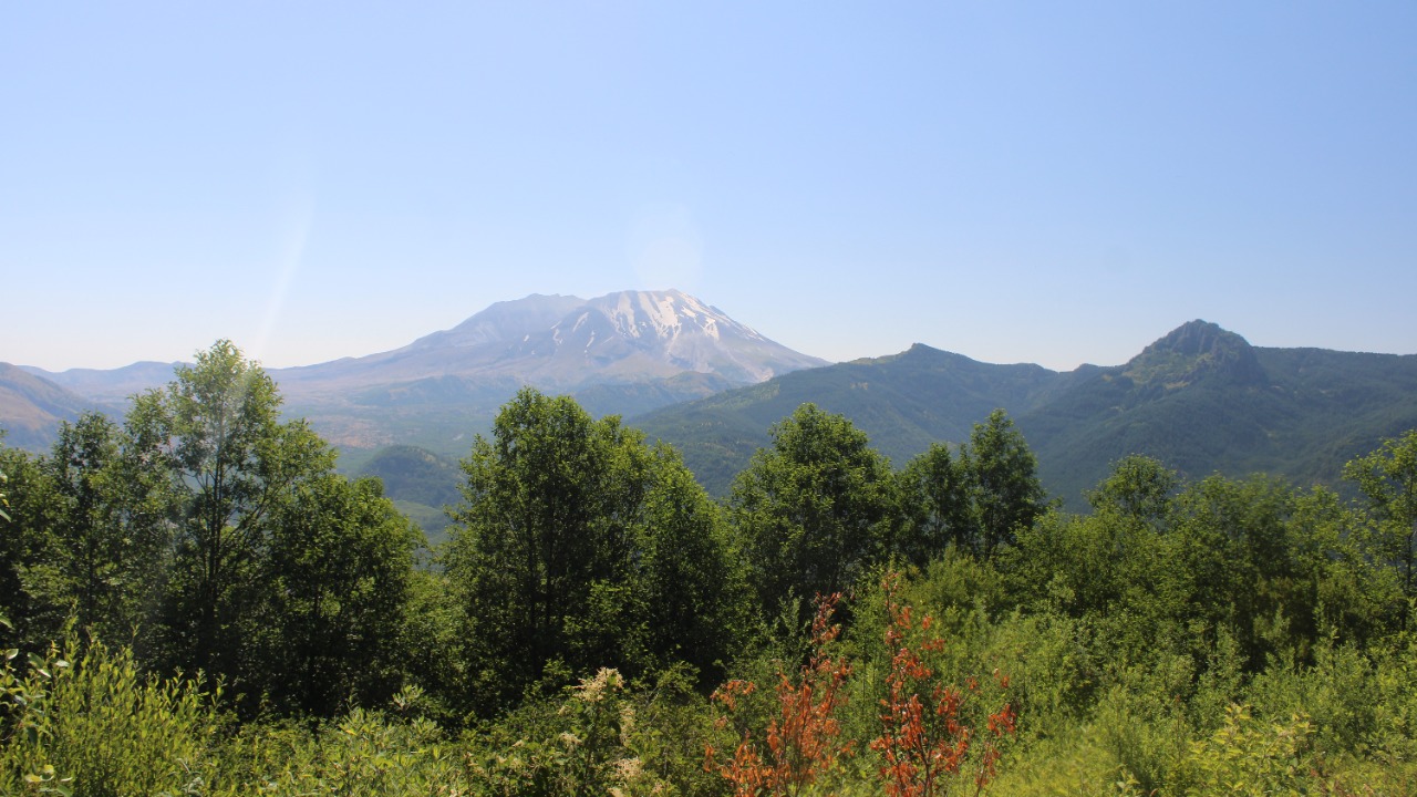 Image Credit: Chris Light - CC BY-SA 4.0/Wiki Commons