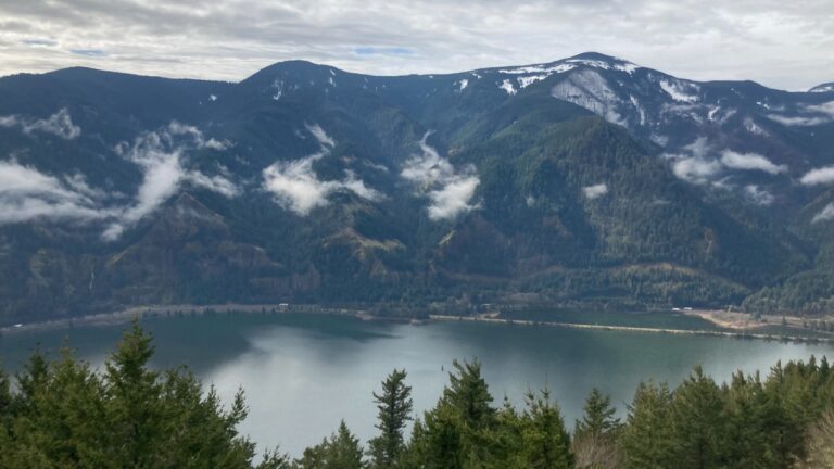 Image Credit: Mattsjc - CC BY 4.0/Wiki Commons