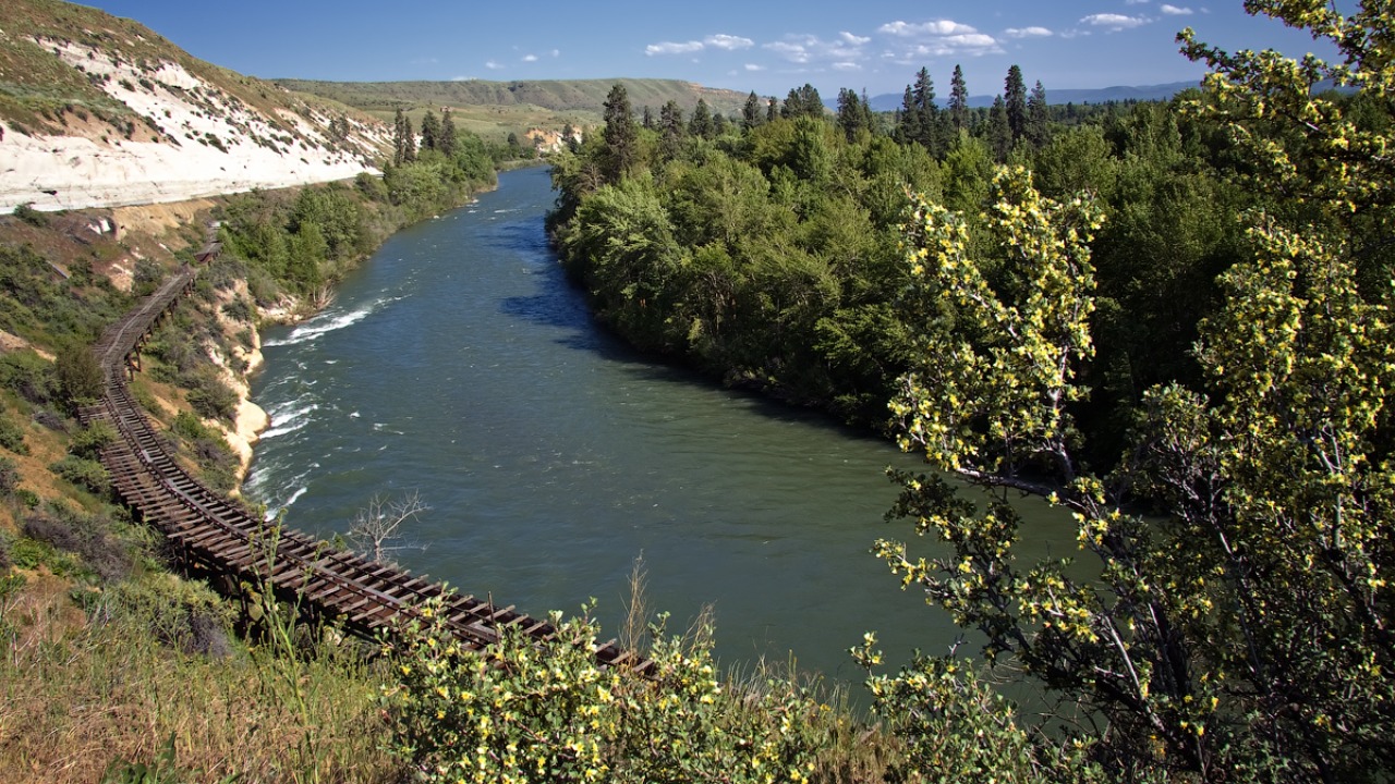 Image Credit: Steve Pavlov - CC BY-SA 4.0/Wiki Commons