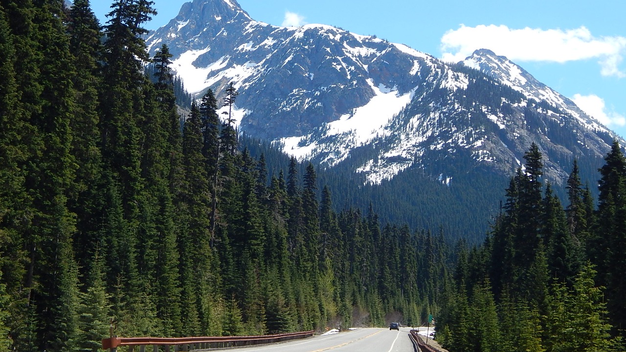 Image Credit: Ron Clausen - CC BY-SA 4.0/Wiki Commons