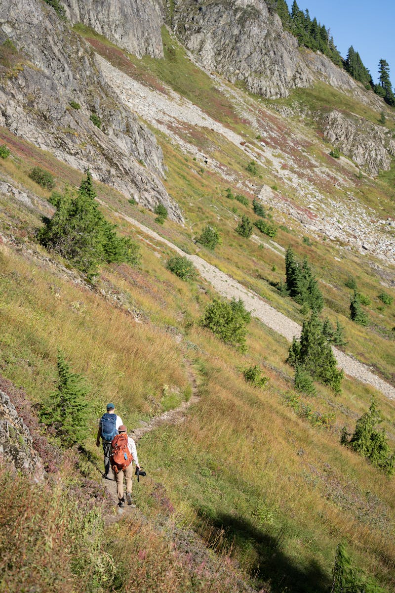Two hikers traverse a scenic mountain trail near Darrington, Washington, surrounded by lush greenery.