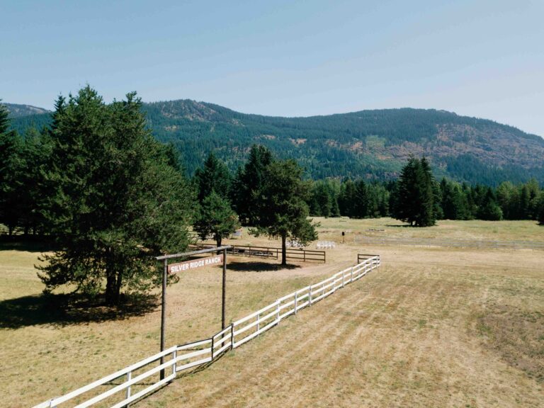 Silver ridge ranch from above with mountain in back.